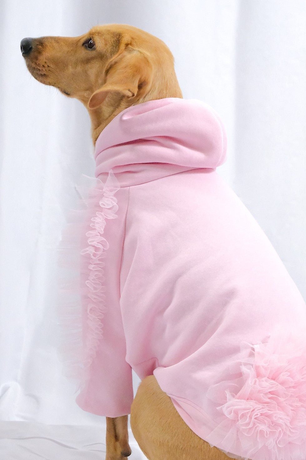 Sweat pour chien